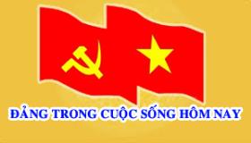 Ảnh tin