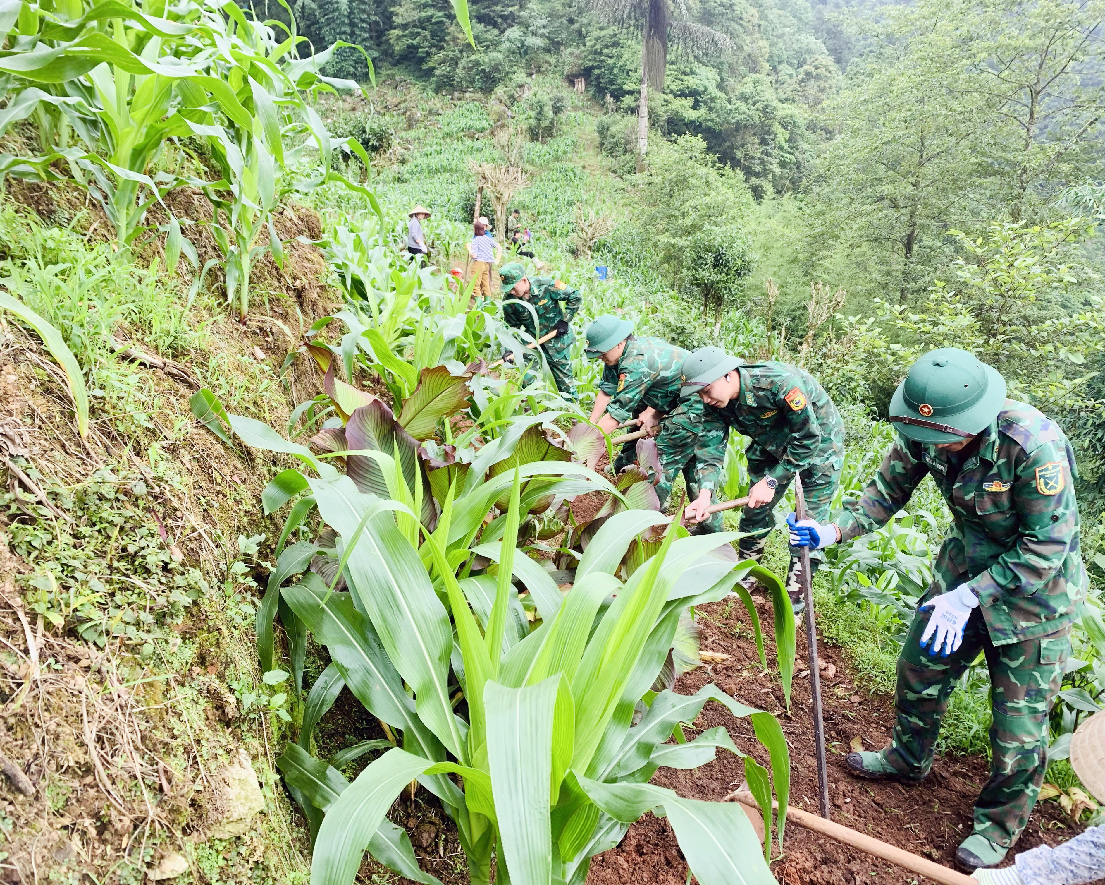 Cán bộ, chiến sĩ Đồn Biên phòng Tùng Vài, Bộ đội Biên phòng tỉnh Tuyên Quang huy động lực lượng mở đường tuần tra biên giới đi đến mốc 307, 308, 309 xã Tùng Vài. Ảnh: Hoàng Chính.